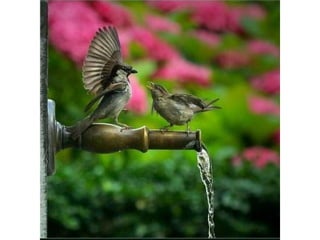 Photos exceptionnelles