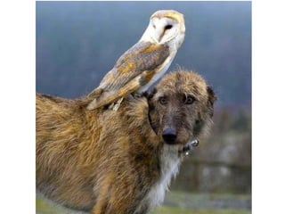 Photos exceptionnelles