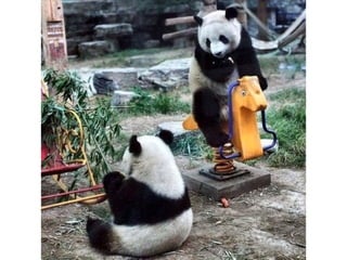 Photos exceptionnelles