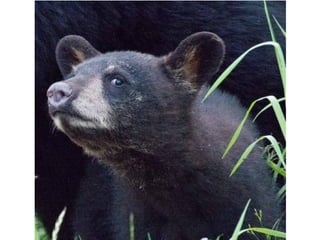 Photos exceptionnelles