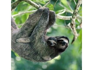 Photos exceptionnelles