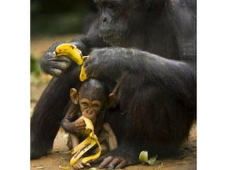 Photos exceptionnelles