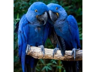 Photos exceptionnelles