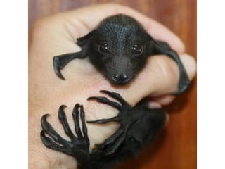 Photos exceptionnelles