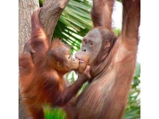 Photos exceptionnelles