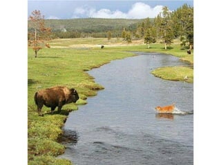 Photos exceptionnelles