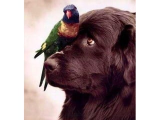 Photos exceptionnelles