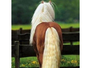 Photos exceptionnelles