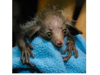 Photos exceptionnelles