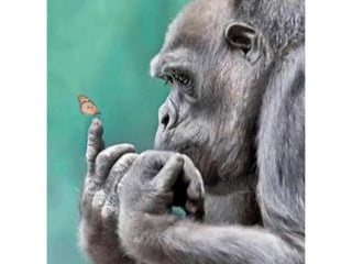 Photos exceptionnelles