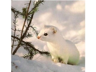 Photos exceptionnelles