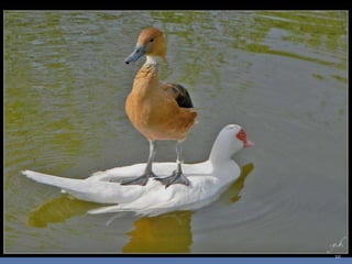 Photos extraordinaires1