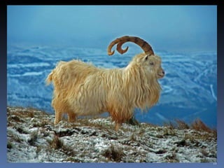 Photos extraordinaires1