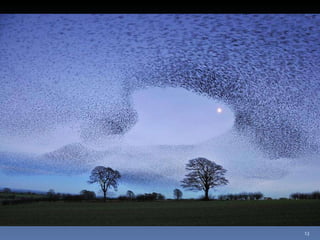 Photos extraordinaires1