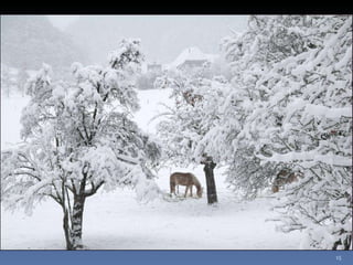 Photos extraordinaires1