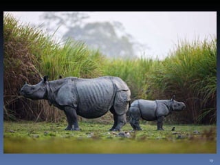 Photos extraordinaires1