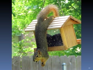 Photos extraordinaires1