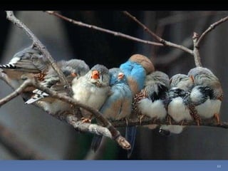 Photos extraordinaires1