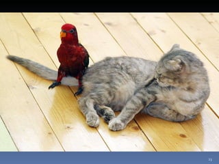 Photos extraordinaires1