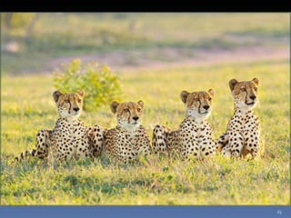 Photos extraordinaires1