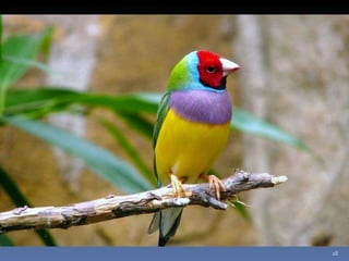 Photos extraordinaires1