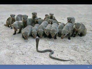 Photos extraordinaires1