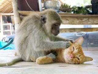 Photos extraordinaires1