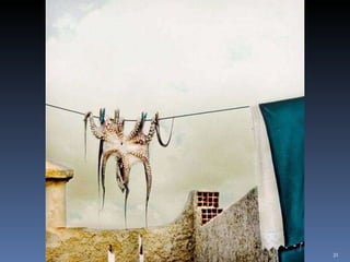 Photos extraordinaires1