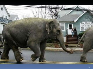 Photos extraordinaires1