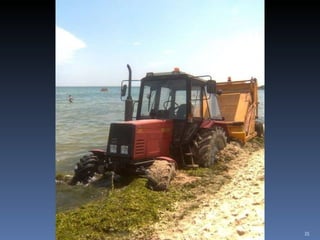 Photos extraordinaires1