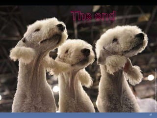 Photos extraordinaires1