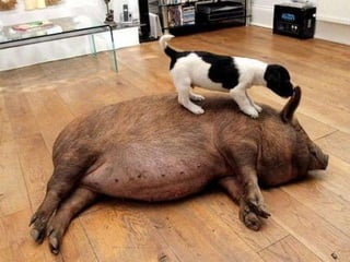 Photos extraordinaires1