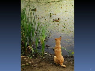 Photos extraordinaires1