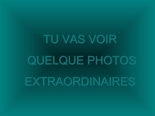 TU VAS VOIRTU VAS VOIR
QUELQUE PHOTOSQUELQUE PHOTOS
EXTRAORDINAIRESEXTRAORDINAIRES
 