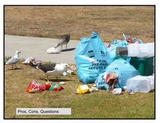 Pros, Cons, Questions 