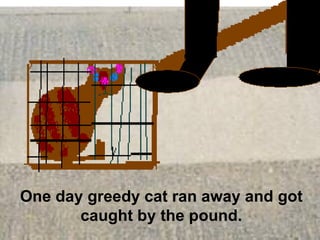 One day greedy cat ran away and got caught by the pound. 
