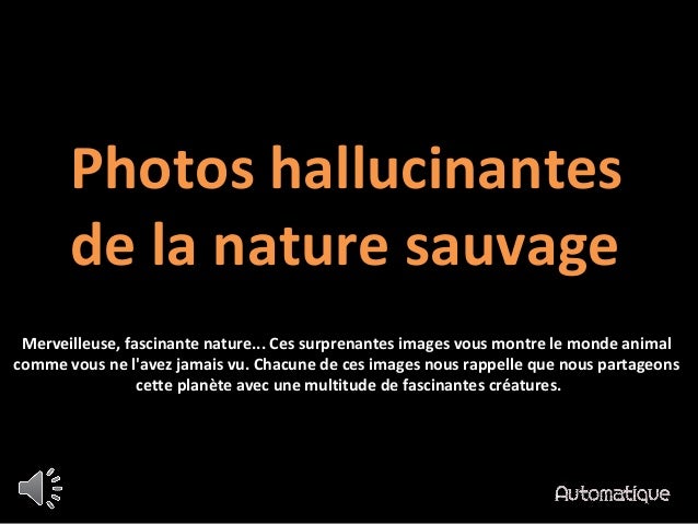 Photos Hallucinantes De La Nature Sauvage11