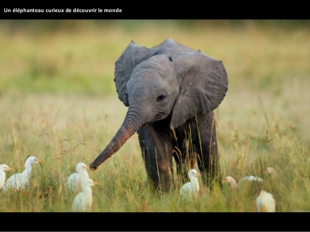Photos Hallucinantes De La Nature Sauvage11
