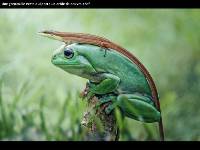 Photos Hallucinantes De La Nature Sauvage11