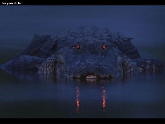 Photos Hallucinantes De La Nature Sauvage11