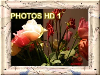 PHOTOS HD 1 22/02/2011 