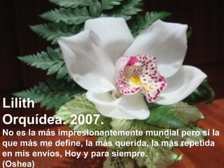 Lilith Orquídea. 2007. No es la más impresionantemente mundial pero si la  que más me define, la más querida, la más repetida  en mis envíos, Hoy y para siempre.  (Oshea) 