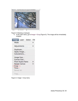 Figure 5. Drawing a marquee
   4. In the main menu, go to Image > Crop (Figure 6). The image will be immediately
       cropped.




Figure 5. Image > Crop menu




                                                            Adobe Photoshop CS 25
 