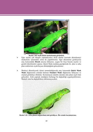 Resim 1.40: Seçili alanın maskelenmiş görüntüsü.
  Eğer seçimi çok düzgün yapmadıysanız eksik alanlar üzerinde düzenlemeyi
  maskeleme işleminden sonra da yapabilirsiniz. Eğer düzenleme gerekiyorsa
  araç kutusundaki Brush aracına tıklayınız, uygun bir fırça boyutu seçiniz ve
  gerekli düzeltmeleri yapınız. Quick Mask moduna geçtiğinizde ön plan ve arka
  plan renklerinin siyah-beyaza dönüştüğünü göreceksiniz.

  Maskeyi düzenleyerek işlemi tamamladığınızda araç kutusunda Quick Mask
  Mode düğmesinin solunda bulunan Standart Mode düğmesine tıklayınız ve
  orijinal görüntüye dönünüz. Korunmayan alan(bu işlemde arka plan) seçili hale
  gelecektir. Artık yapmak istediğiniz herhangi bir değişikliği uygulayabilirsiniz.
  Maskeli alan bu değişiklikten etkilenmeyecektir.




Resim 1.41: Arka planın değiştirilmiş hali görülüyor. İlk resimle karşılaştırınız.


                                     45
 