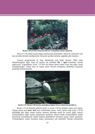 Resim 1.50:Görülen imaj üzerinde bir montajlama işlemi yapılacak.
     Resim 9.1’de yabani kuşlar doğal ortamlarında görünmekte. Şimdi bu ortama bir yeni
hayvan daha eklemek istediğimizde izlememiz gereken adımlar aşağıdaki gibi olacaktır.

       Tasarım programımda bu imaj dokümanda açık halde duruyor. Daha sonra
birleştireceğimiz diğer imajı da sayfaya üst menüden file > open komutunu vererek
çağırıyoruz. Çağırdığımız resim 1.51’den tek başına duran yabani kuşu alıp diğer resme
montajlayacağız. Ancak önce en uygun seçim aracıyla alacağımız görüntüyü seçmemiz
gerektiği unutulmamalıdır.




       Resim 1.51: Resim 1.50 üzerine montajlayacağımız beyaz yabani kuş görülüyor.
       Resim 1.51’de bulunan görüntü seçilir ve resim 1.50’nin üstünde uygun yere taşınır.
Taşıma işlemi için move tool aracı kullanılarak taşınır. Artık seçilen imaj resim 1.52’de
görüldüğü gibi diğer imajın üzerine taşınmış durumda ancak bu yeterli değil, martıyı
yerleştirdiğimiz doğal ortama uydurmamız gerekiyor. Bunun içinde yerleştirdiğimiz imajın
boyutunun montajlanacak imajda bulunan görüntülerin boyutuna uygun olması gerekiyor.
Yerleştirdiğiniz imajın boyutunu doğru ayarlamanız çok önemlidir. Burada yerleştirilen

                                            57
 