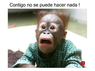 Contigo no se puede hacer nada ! 