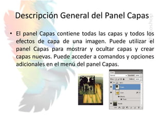 Descripción General del Panel Capas
• El panel Capas contiene todas las capas y todos los
efectos de capa de una imagen. Puede utilizar el
panel Capas para mostrar y ocultar capas y crear
capas nuevas. Puede acceder a comandos y opciones
adicionales en el menú del panel Capas.
 