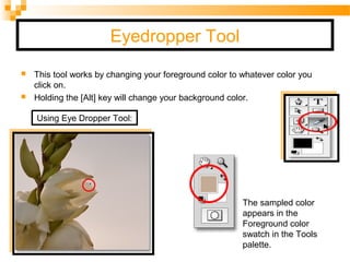 Eyedropper Tool
 This tool works by changing your foreground color to whatever color you
click on.
 Holding the [Alt] key will change your background color.
The sampled color
appears in the
Foreground color
swatch in the Tools
palette.
Using Eye Dropper Tool:
 