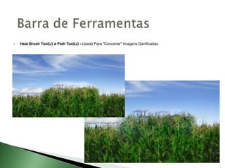  Heal Brush Tool(J) e Path Tool(J) - Usada Para "Concertar" Imagens Danificadas.
 