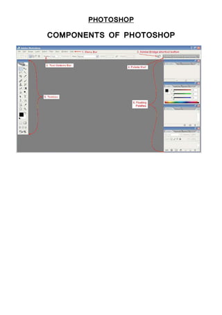 PHOTOSHOP
COMPONENTS OF PHOTOSHOP
 